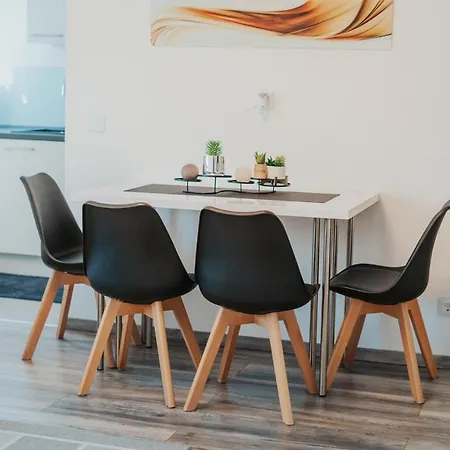 Appartement Wohnoffice Mit Uebernachtungsmoeglichkeit Kiba Manzell 27 Gemuetlich & Zentrumsnah Friedrichshafen